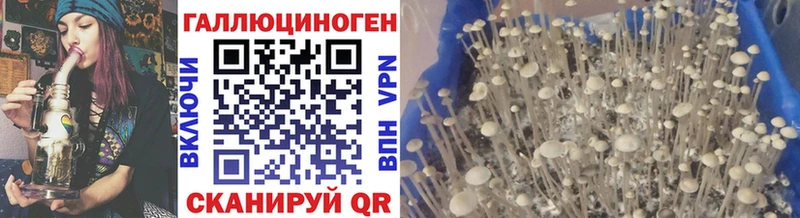 Галлюциногенные грибы Magic Shrooms  Махачкала 