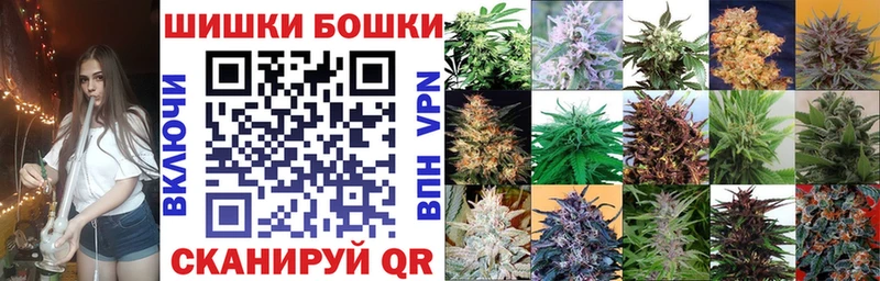Бошки марихуана конопля  где купить наркоту  Махачкала 
